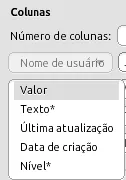 Lista de tipos de coluna aberta com as opções Valor, Texto, Última atualização, Data de criação e Nível. Texto e Nível estão marcados com asterisco.